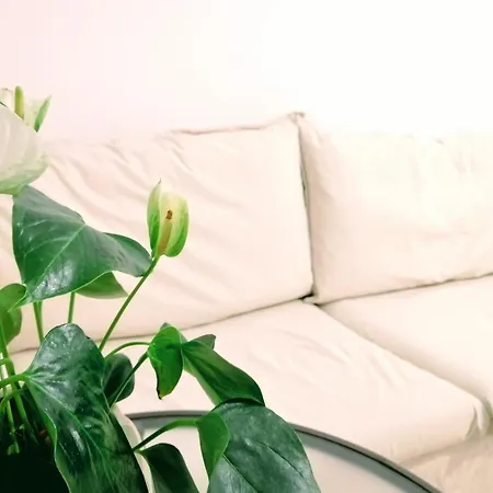 Feel Blue Sky - Politehnica Bucarest