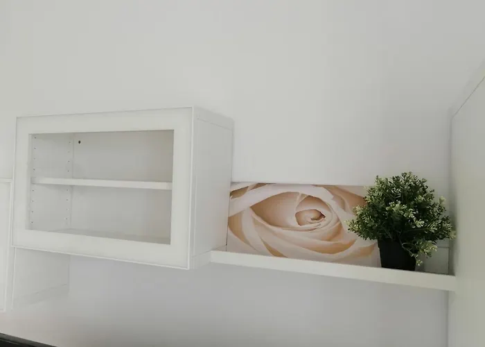 Feel Blue Sky - Politehnica Bukurešť