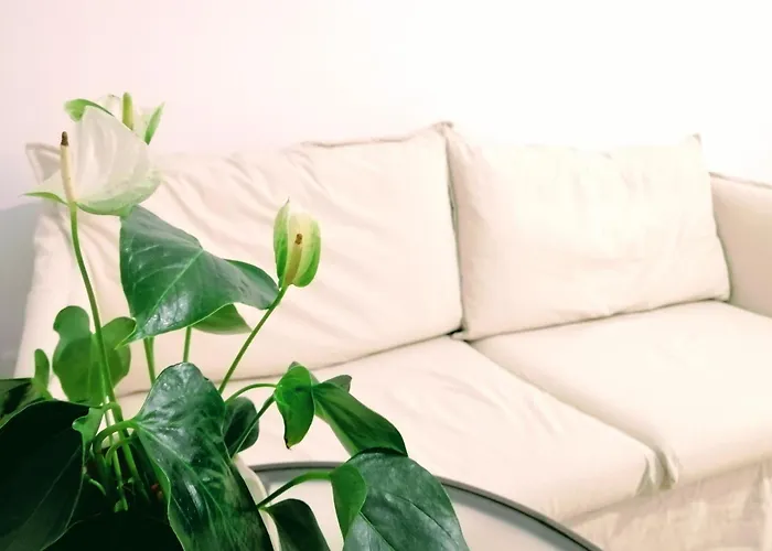 Feel Blue Sky - Politehnica Bucureşti