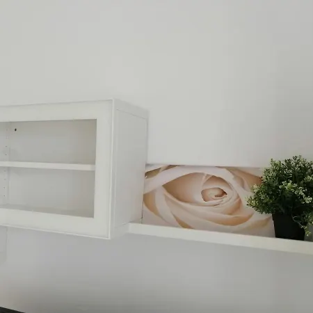 Feel Blue Sky - Politehnica Bucarest